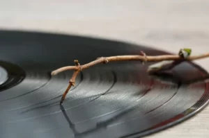 Record Needle: Best Ways to Clean